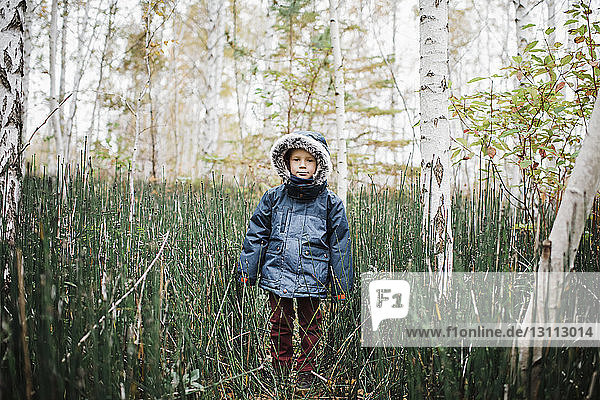 Portrait of boy wearing hooded jacket while standing amidst forest