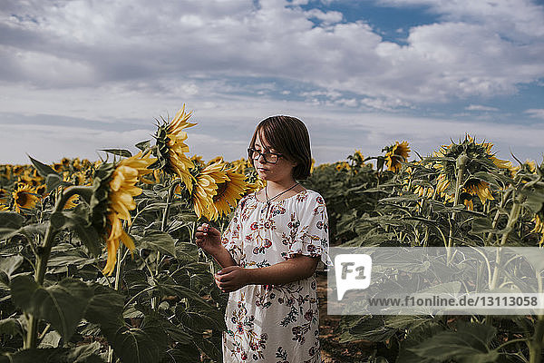 Mädchen steht im Sonnenblumenfeld gegen den Himmel