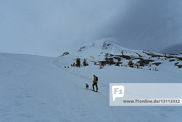 Mann wandert mit Hund am schneebedeckten Mount Hood