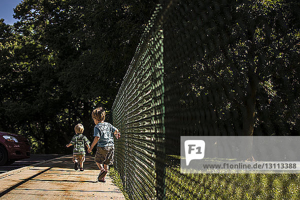 Rear view of brothers walking on footpath by fence