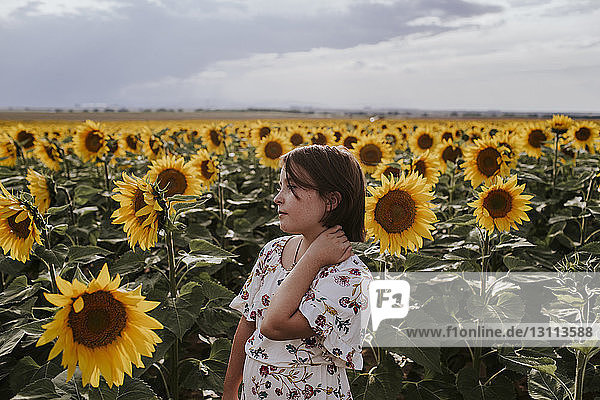 Mädchen schaut weg  während sie in Sonnenblumenfarm gegen den Himmel steht