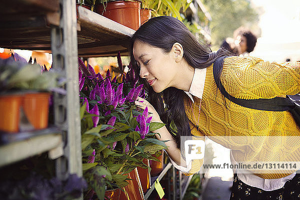 Woman smelling pink flower plant at stall