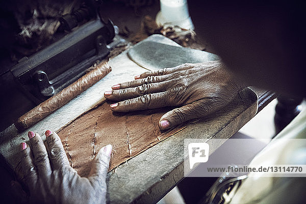 Ausgeschnittenes Bild einer Frau  die während der Zigarrenherstellung in der Fabrik Blätter ausbreitet
