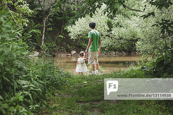 Rückansicht eines Vaters mit Tochter auf einem Grasfeld am Fluss im Park