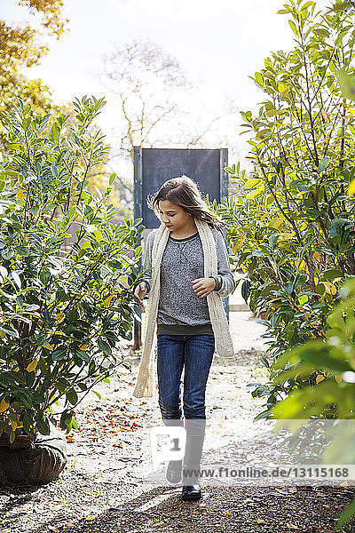 Full length of girl walking by plants in nursery