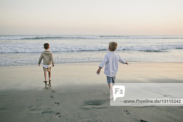 Rear view of brothers walking towards sea against sky at beach