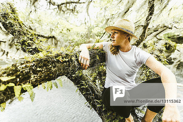 Junge Frau betrachtet Aussicht  während sie auf einem moosbewachsenen Ast über einem See im Regenwald sitzt