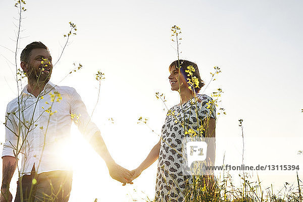 Man holding PRegnant woman's hand while standing on field against clear sky