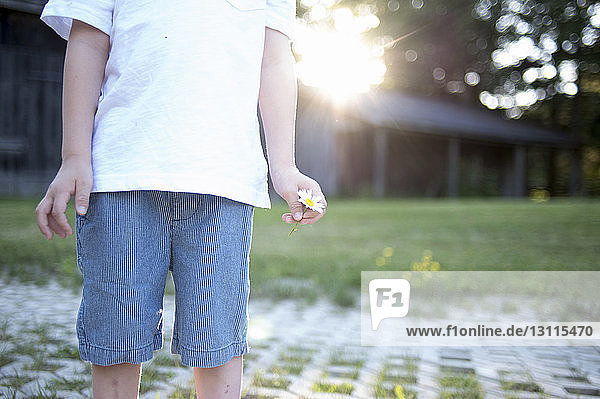 Midsection of boy holding flower while standing at park