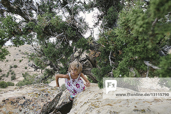 Mädchen schaut weg  während sie auf Felsen am Baum geht