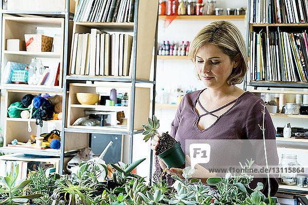 Geschäftsfrau beim Eintopfen von Sukkulentenpflanzen im Amt