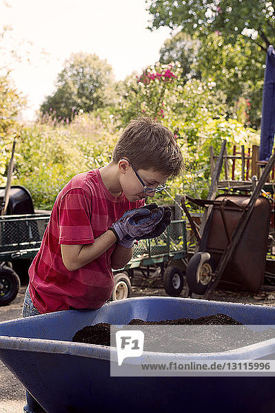Junge untersucht den Boden bei der Gartenarbeit im Gemeinschaftsgarten