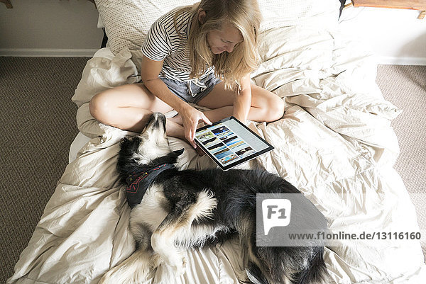 Hochwinkelansicht einer Frau  die einen Tablet-Computer benutzt  während sie mit ihrem Hund auf dem Bett sitzt