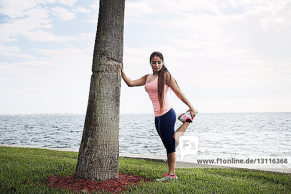 Frau  die sich streckt  während sie am Baum auf dem Feld gegen das Meer steht