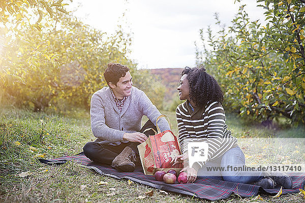 Couple with apples looking at each other while sitting on blanket in orchard