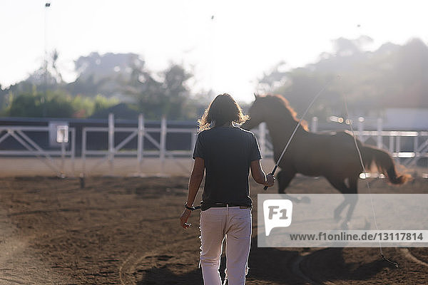 Rückansicht einer Frau  die ein Pferd auf der Ranch trainiert