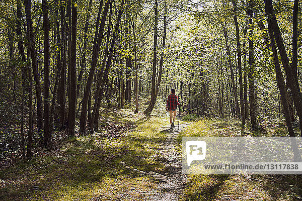Rear view of woman walking on pathway amidst trees in forest