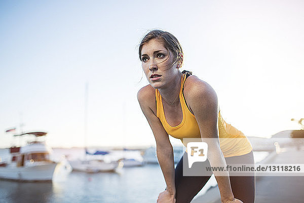 Tired female athlete standing with hands on knees by harbor against clear blue sky
