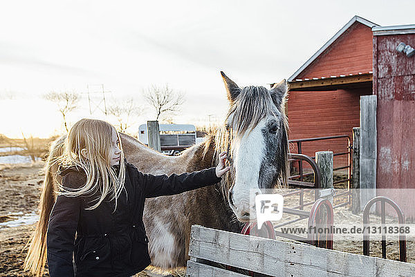 Mädchen streichelt Pferd  während sie auf der Ranch gegen den Himmel steht