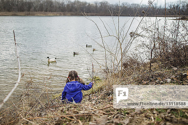 Mädchen schaut Enten an  die im Teich im Park schwimmen