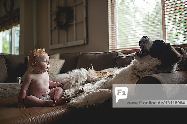 Überraschter kleiner Junge sieht gähnenden Hund auf Sofa an