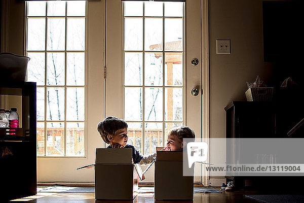 Playful brothers looking at each other while sitting in cardboard box at home