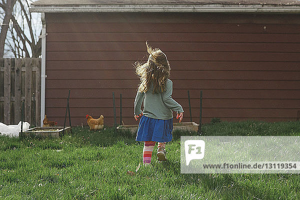 Rückansicht eines Mädchens  das auf einem Bauernhof auf Gras geht