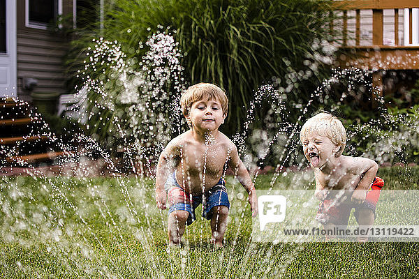 Happy brothers playing with sprinkler in backyard