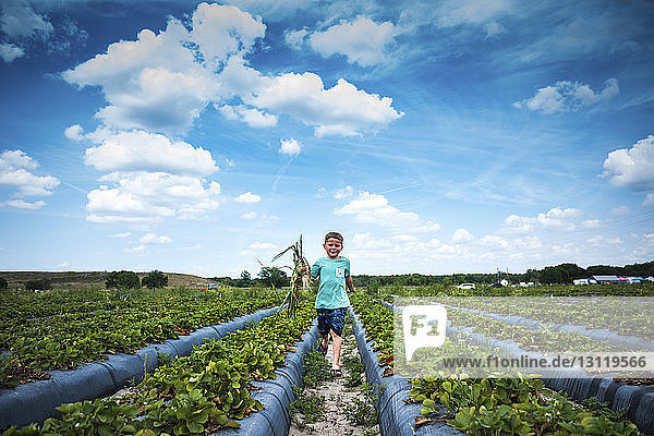 Boy holding root vegetables while running at organic farm against cloudy sky