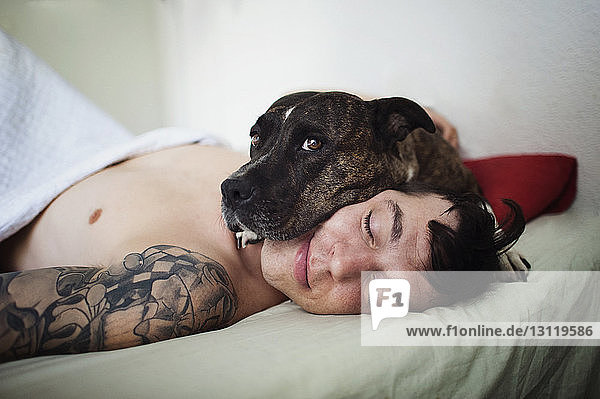 Porträt eines Hundes  der auf dem Gesicht eines Mannes liegt  während er sich im Schlafzimmer entspannt