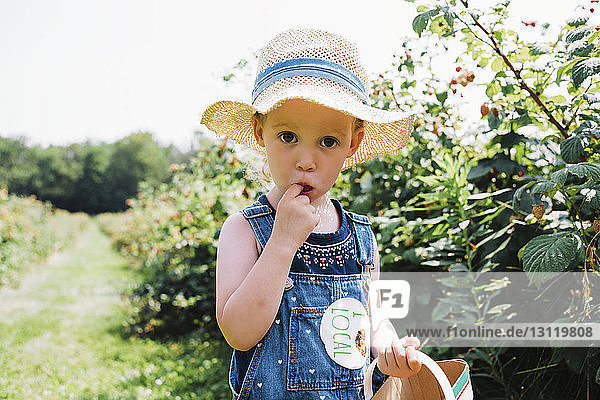 Portrait of girl eating raspberry while harvesting at farm