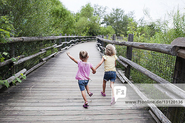 Rear view of sisters holding hands while running on footbridge amidst trees