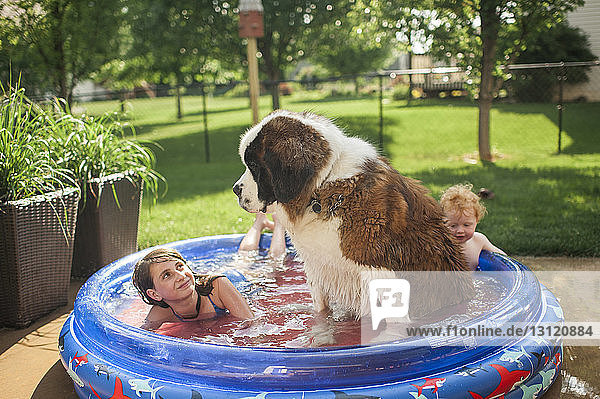 Siblings with dog swimming in wading pool at yard