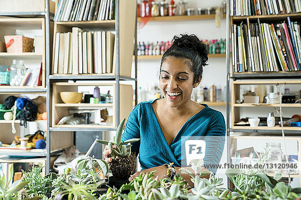 Glückliche Geschäftsfrau mit Sukkulentenpflanze im Amt
