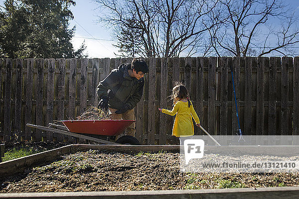 Daughter helping father while gardening against fence at backyard