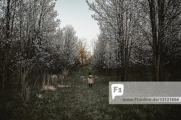 Rear view of girl walking on grassy field in forest during winter