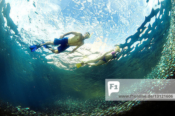 Niedrigwinkelansicht eines unter Wasser schwimmenden Paares