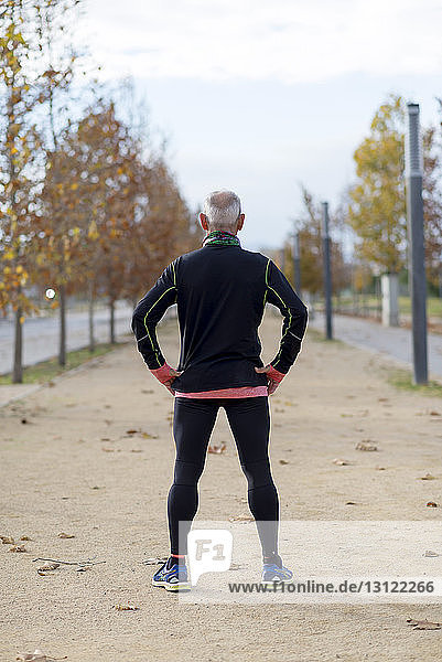 Rückansicht eines älteren Mannes mit Händen auf den Hüften  der im Herbst im Park trainiert