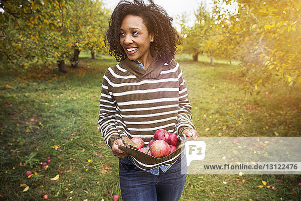Lächelnde Frau trägt Äpfel  während sie im Obstgarten steht