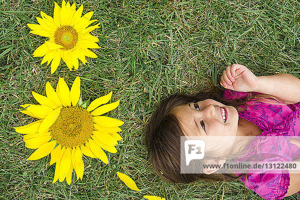 Hochwinkelansicht eines niedlichen glücklichen Mädchens  das neben Sonnenblumen auf einem Grasfeld liegt