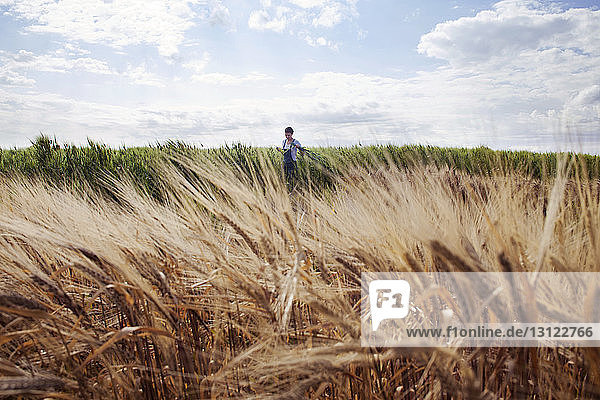 Fernansicht eines Bauern  der auf einem Weizenfeld arbeitet  gegen den Himmel