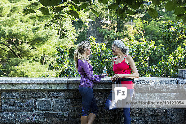 Friends talking while holding bottles by retaining wall against branches at park