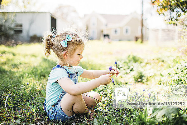 Mädchen spielt mit Blumen  während sie auf einem Rasenfeld im Hinterhof sitzt