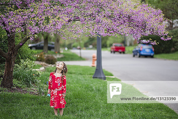 Mädchen betrachtet Blumen  die im Frühling auf einem Baum im Park wachsen
