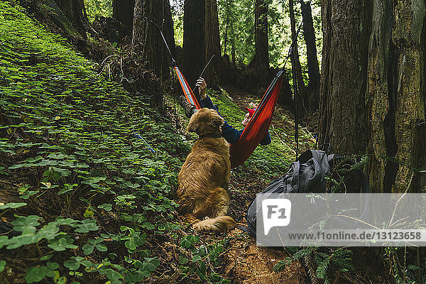 Glückliche Frau spielt mit Hund  während sie auf Hängematte im Wald liegt