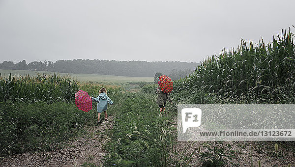 Rückansicht von Geschwistern  die Regenschirme tragen  während sie in der Regenzeit auf dem Feld gegen den Himmel laufen