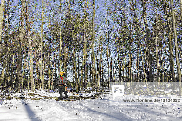 Rückansicht eines Holzfällers mit Kettensäge  der im Winter im Wald steht
