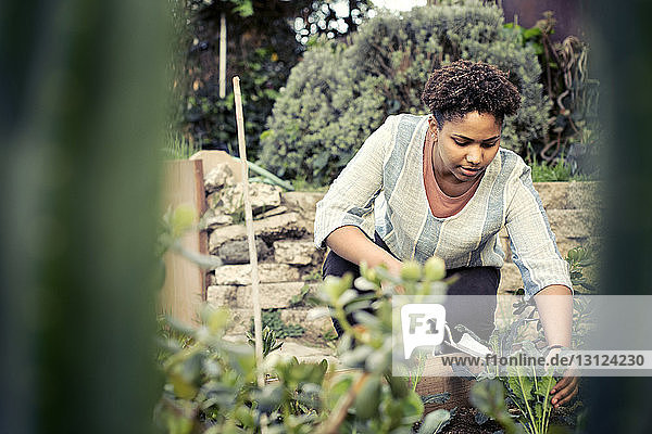 Young woman working in community garden