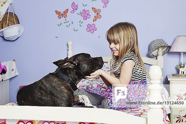 Lächelndes Mädchen spielt zu Hause mit Hund auf dem Bett