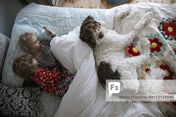 High angle view of sisters using mobile phone while lying with dog on bed